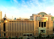 �V���T�S���Ƶ�