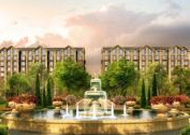 �����ǽ����A����